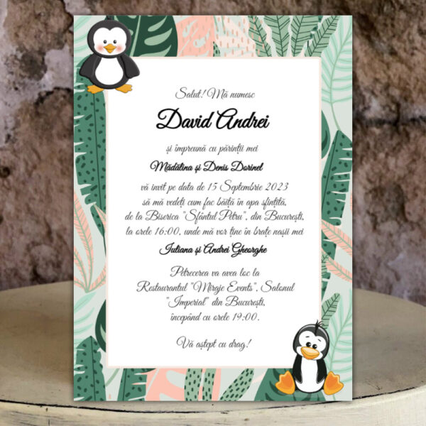 Invitații botez băiat 01